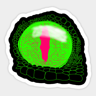 Tokay (Gekko gecko) eye green Sticker